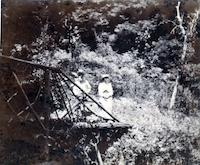 HAL-003p_TIF_MSTR.tif