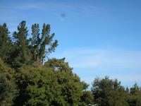 DSCN3091.JPG
