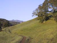 img_001_0231_55 Deer Path vista.JPG