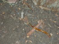 DSCN3199.JPG
