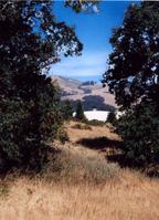 Coal Mine Ridge.jpg