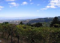 IMG_7084.JPG