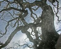 DSCN2343.JPG