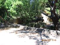 IMG_0486.JPG