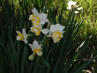 DSCN2605.JPG