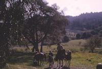docu0026.tif