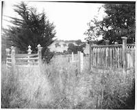 DEN-002c2p_TIF_MSTR.tif