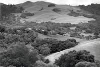 morley baer pvr.tif