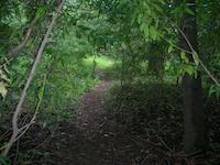 DSCN3251.JPG