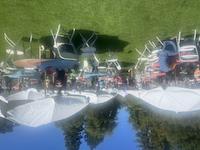 IMG_7232.jpg