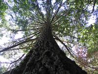 Windy Hill__9169.JPG
