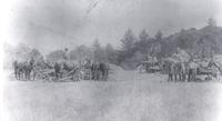 Threshing 1900.tif