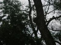 DSCN2732.JPG
