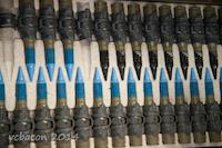 PON-130d_JPG_MSTR.jpg