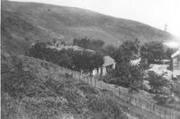 Bozzo Ranch.tif