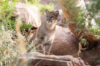 in the new habitat.webp