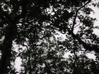 DSCN2382.JPG