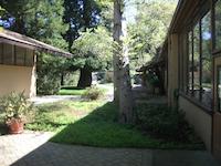 IMGP9106.JPG