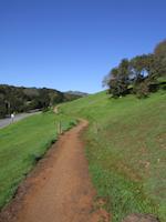 img_001_0094_179 Deer Path along Valley Oak.jpg