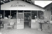 JEL-031d_TIF_MSTR.tif