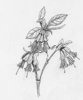 HER-BW-011d_TIF_MSTR.tif