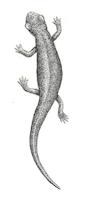 HER-BW-015d_JPG_MSTR.jpg