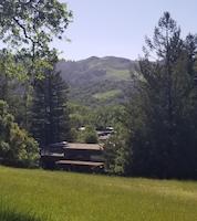 20200424_194708.jpg