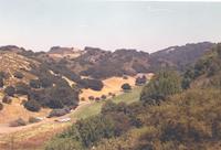 BOR-026d_JPG_MSTR.jpg
