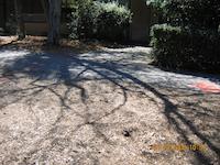 IMG_0530.JPG
