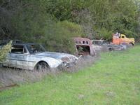 IMG_0193.jpg