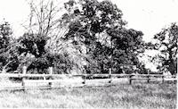 DEN-022p_TIF_MSTR.tif