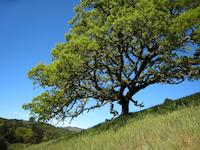 IMG_1426.JPG