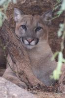 from the zoo.webp