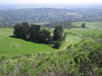 Windy Hill__9217.JPG