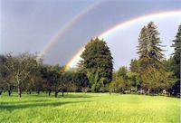 Picture76.jpg