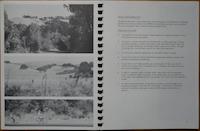 P3520400.JPG