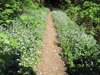 Windy Hill__9179.JPG