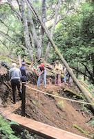 06Building Toyon Trail- Jane Ames and Others_DanQuinn.jpg