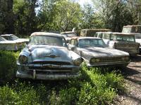 IMG_1396.JPG