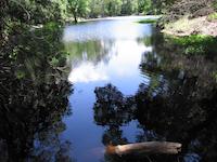 Sausal Pond.JPG