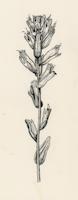 HER-BW-016d_TIF_MSTR.tif