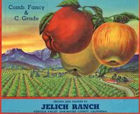 Jelich label.tif