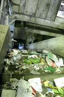 Feeding recyclebles to sorting area.jpg