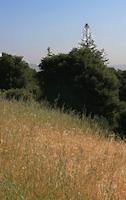 IMG_7179.JPG