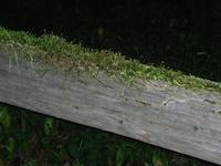 DSCN2731.JPG