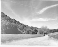 BOR-015c2p_TIF_MSTR.tif