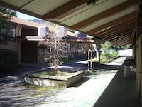 IMGP9569.JPG