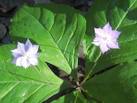 IMG_5997.JPG