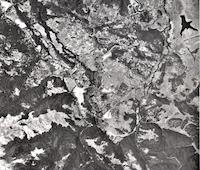 AER-100c1d_1960.jpg