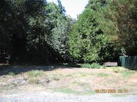 IMG_0448.JPG